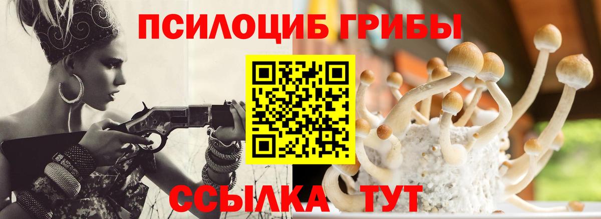 Новокуйбышевск  Псилоцибиновые грибы MAGIC MUSHROOMS  Вход с VPN 